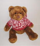 Aeropostale Brown Bear Plush in Red & White Aero A87 Hoodie Jacket 15" Tall from 2007 - sandeesmemoriesandcollectibles.com