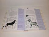 Pedigree Points DOGS Book by Janice Gardner from 2002 - sandeesmemoriesandcollectibles.com