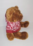 Aeropostale Brown Bear Plush in Red & White Aero A87 Hoodie Jacket 15" Tall from 2007 - sandeesmemoriesandcollectibles.com