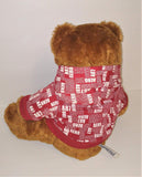 Aeropostale Brown Bear Plush in Red & White Aero A87 Hoodie Jacket 15" Tall from 2007 - sandeesmemoriesandcollectibles.com