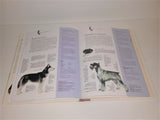 Pedigree Points DOGS Book by Janice Gardner from 2002 - sandeesmemoriesandcollectibles.com