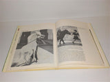 The World of PONIES Book by Judith Campbell from 1970 Hardcover - sandeesmemoriesandcollectibles.com
