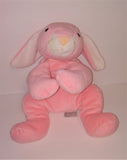 Ty CARROTS The Pink Bunny PillowPal Plush from 1996 - sandeesmemoriesandcollectibles.com