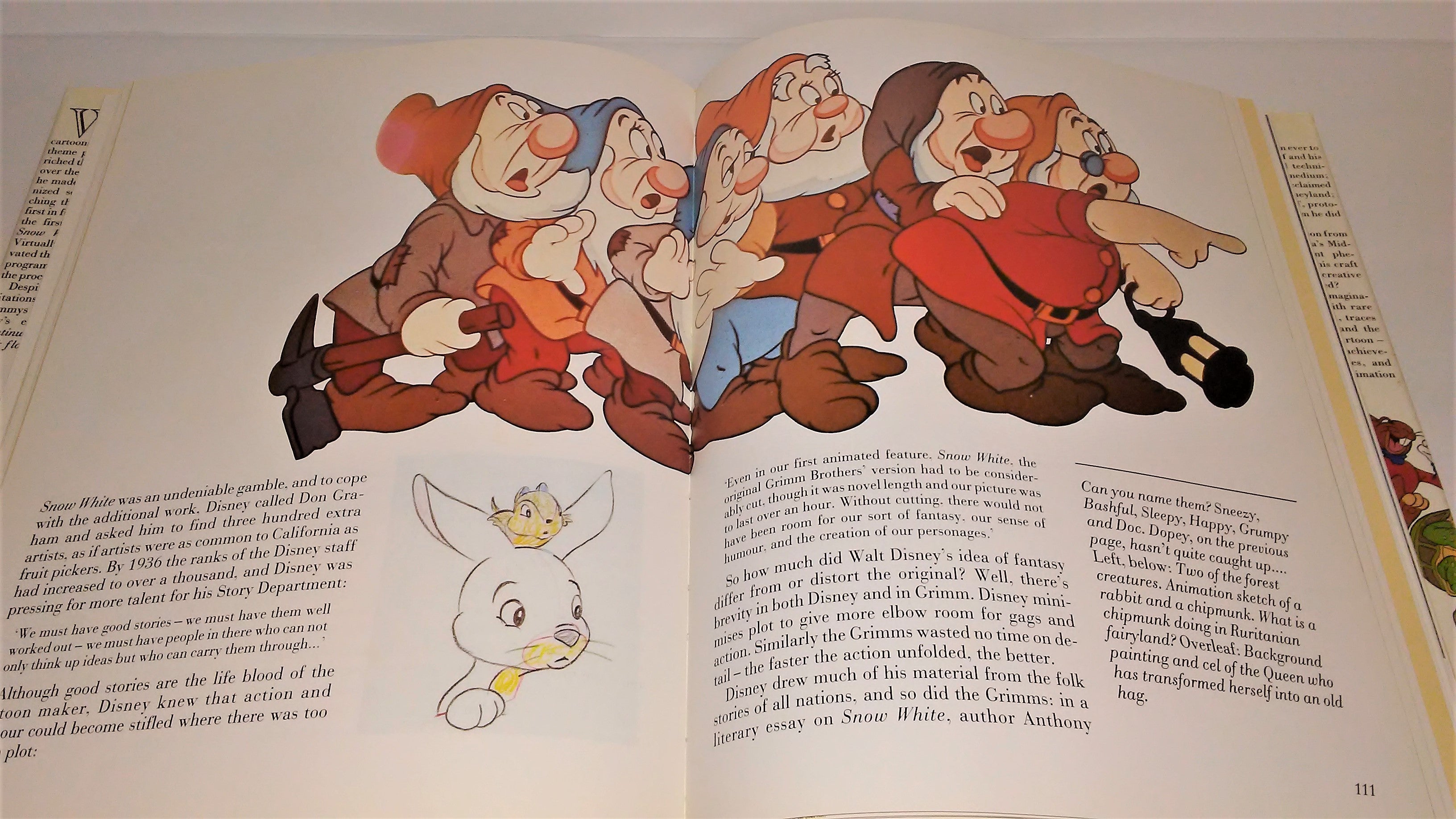 Walt Disney's World of Fantasy book by Adrian Bailey from 1987 Hardcover  Printed in Spain
